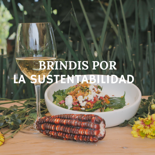 Brindis por la Sustentabilidad